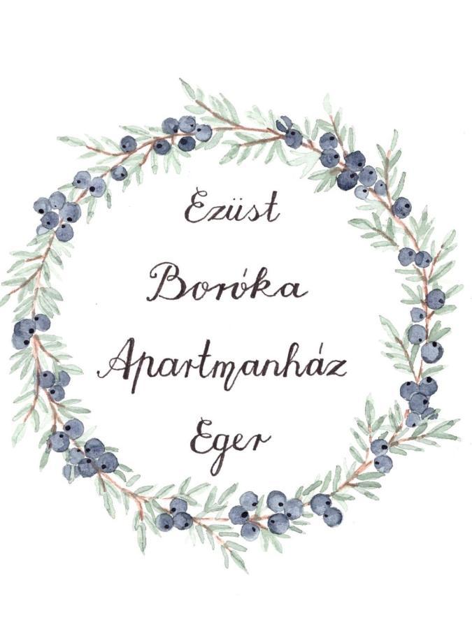 Ezüst Boróka Apartman Eger Kültér fotó