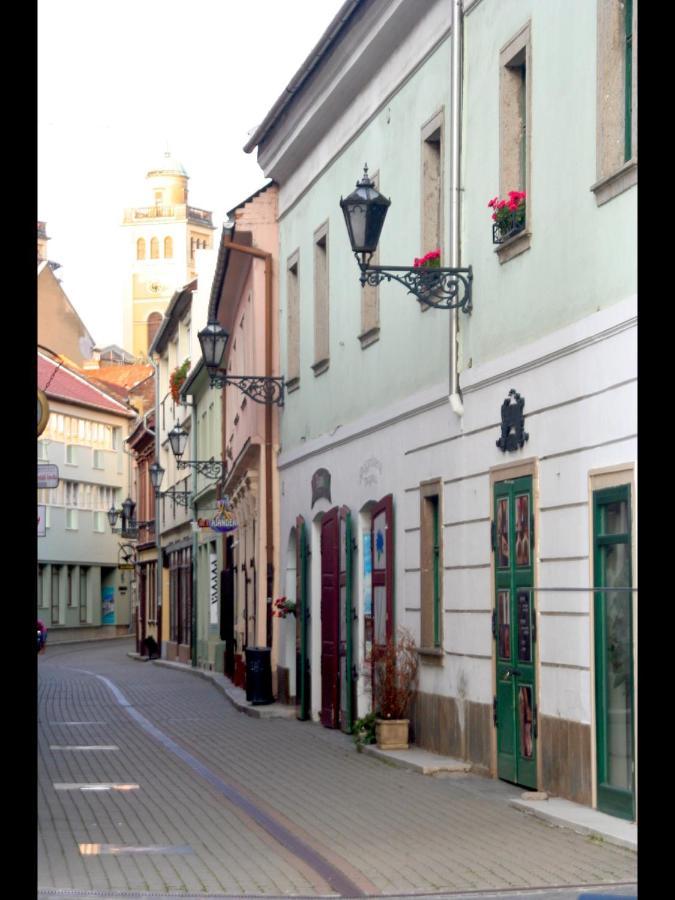 Ezüst Boróka Apartman Eger Kültér fotó